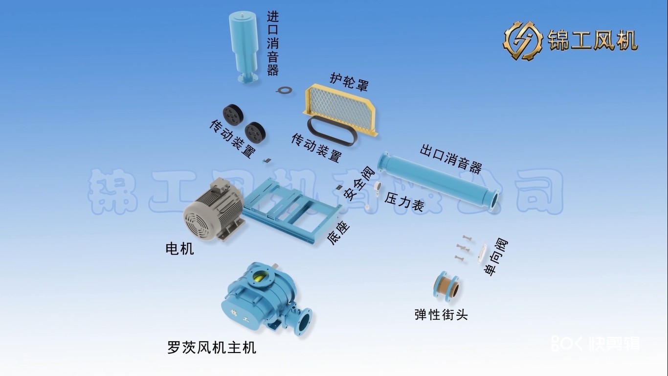 羅茨風(fēng)機(jī)內(nèi)部結(jié)構(gòu)組成